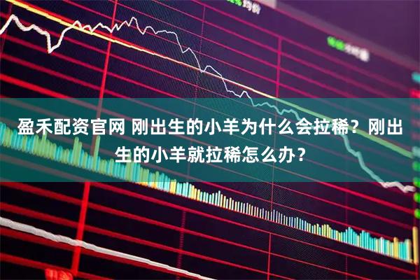 盈禾配资官网 刚出生的小羊为什么会拉稀？刚出生的小羊就拉稀怎么办？
